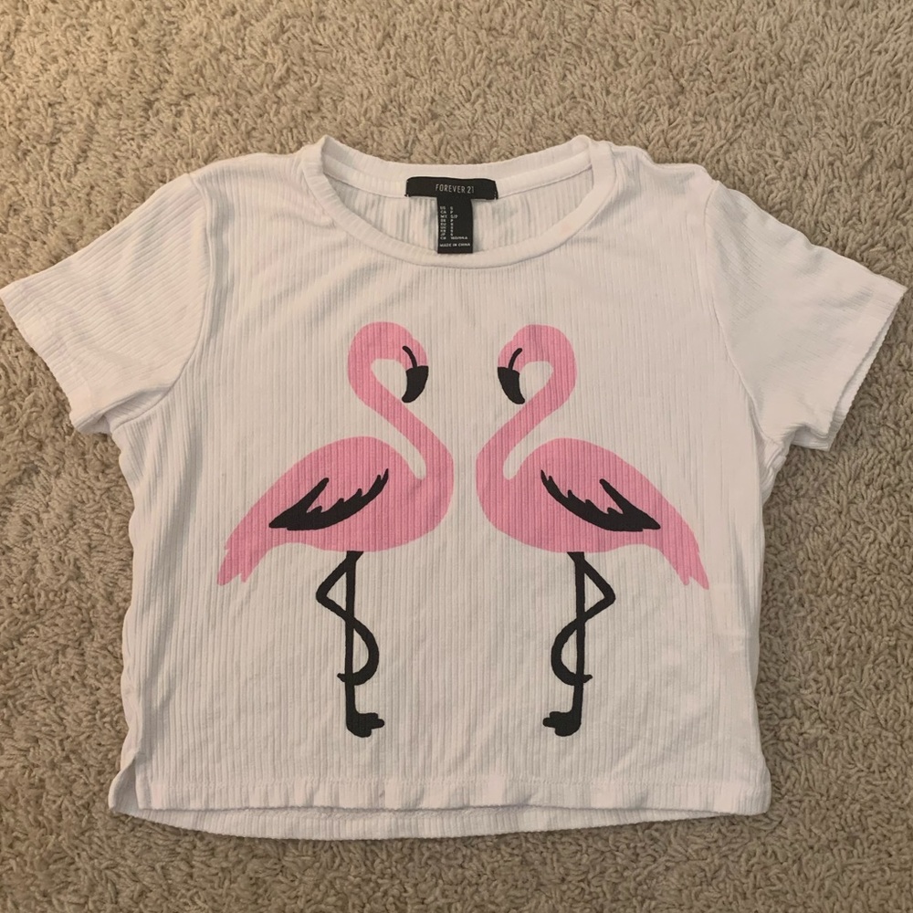 F21 Flamingo Crop Top